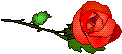 rose.gif (2336 bytes)